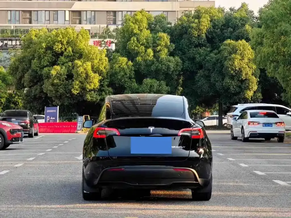 Tesla Model Y — фото 9
