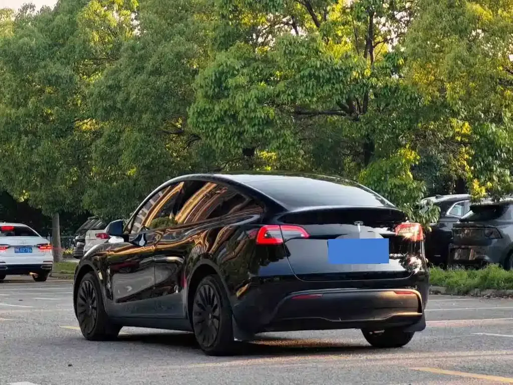 Tesla Model Y — фото 2
