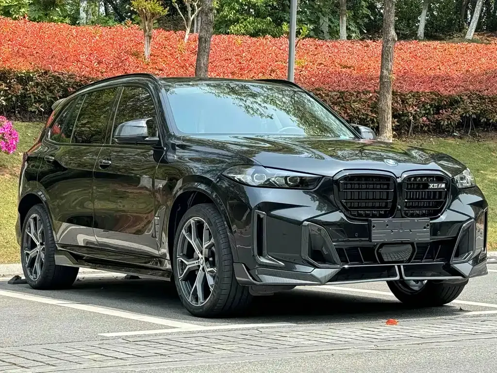 BMW X5 — фото 9