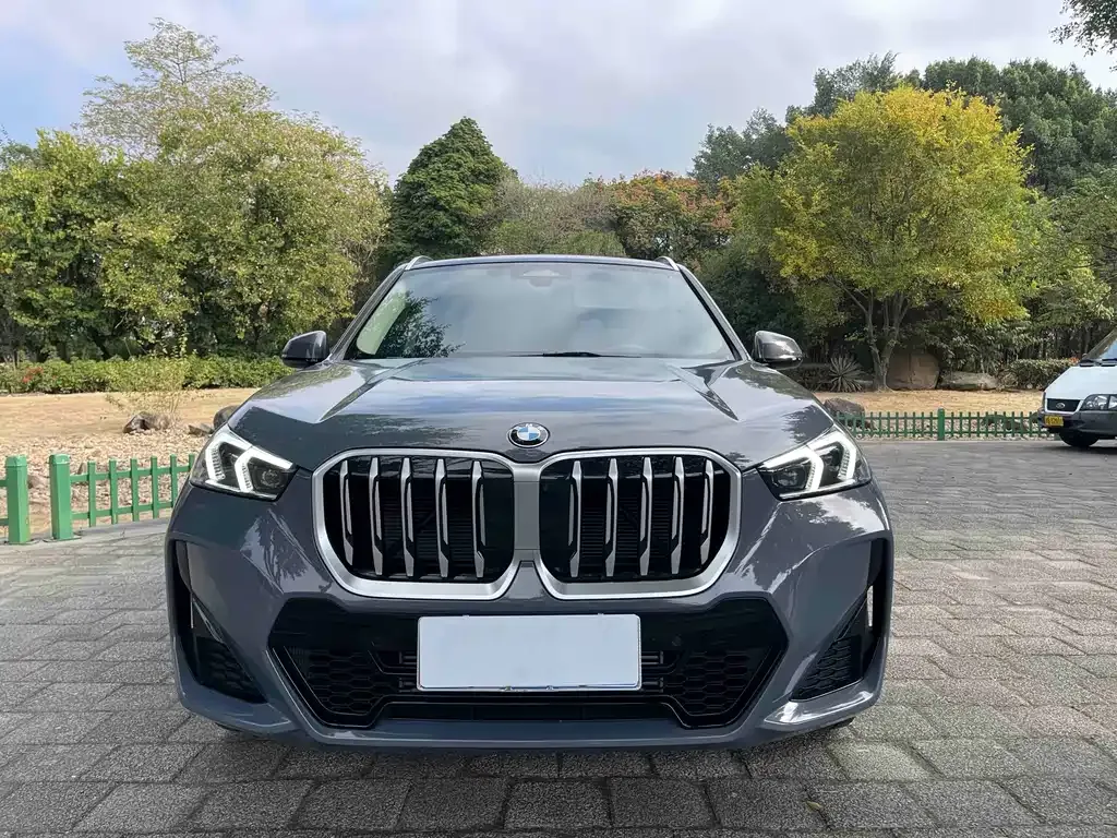 BMW X1 — фото 1