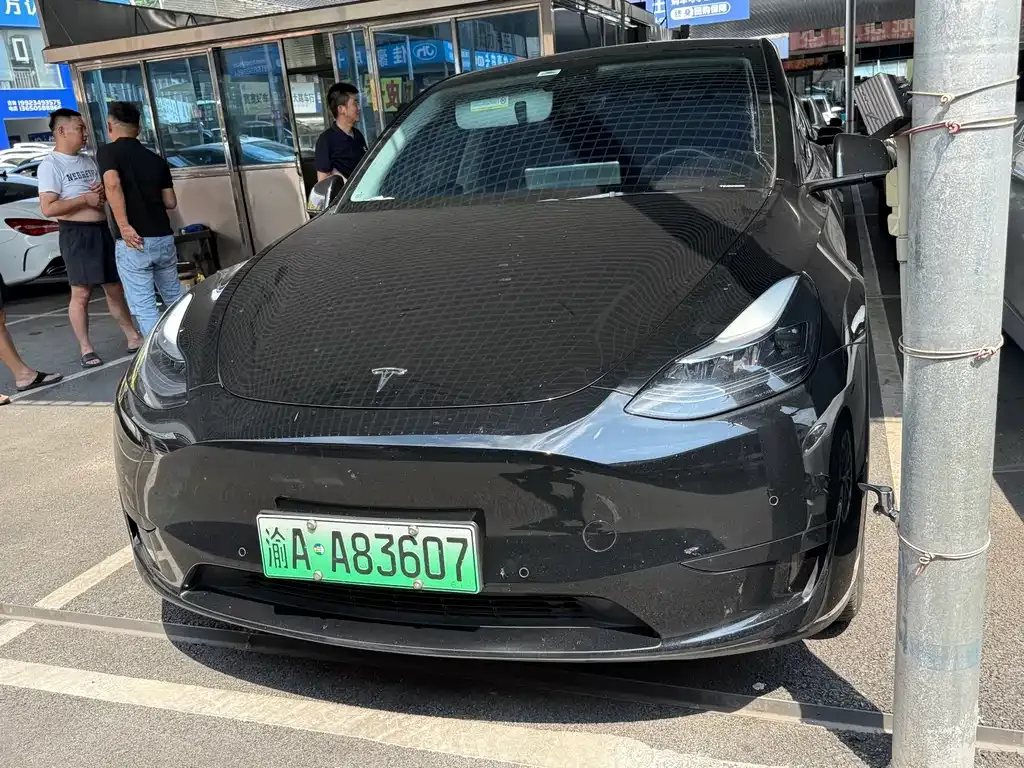 Tesla Model Y — фото 1