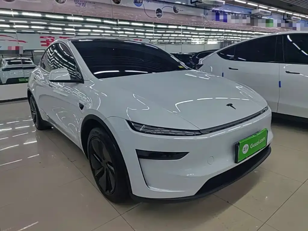 Tesla Model Y — фото 9