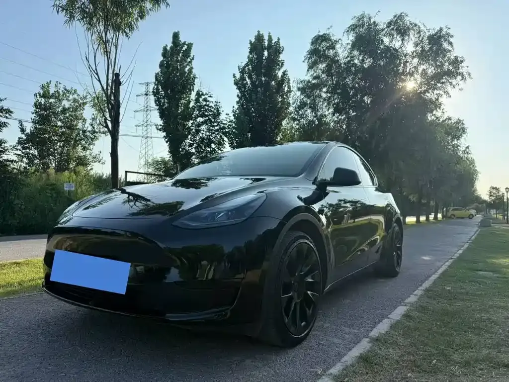 Tesla Model Y — фото 1