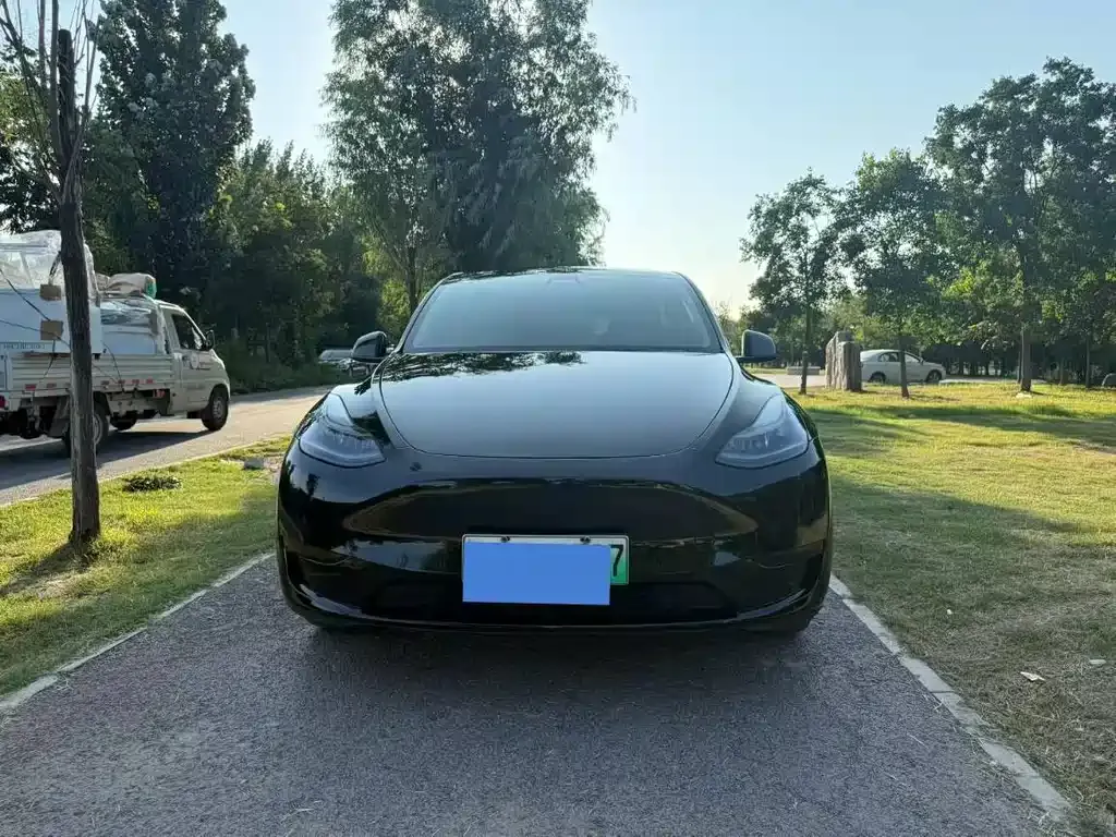 Tesla Model Y — фото 2