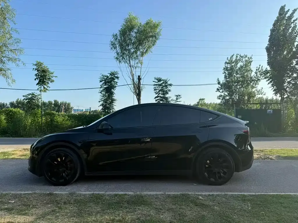 Tesla Model Y — фото 6