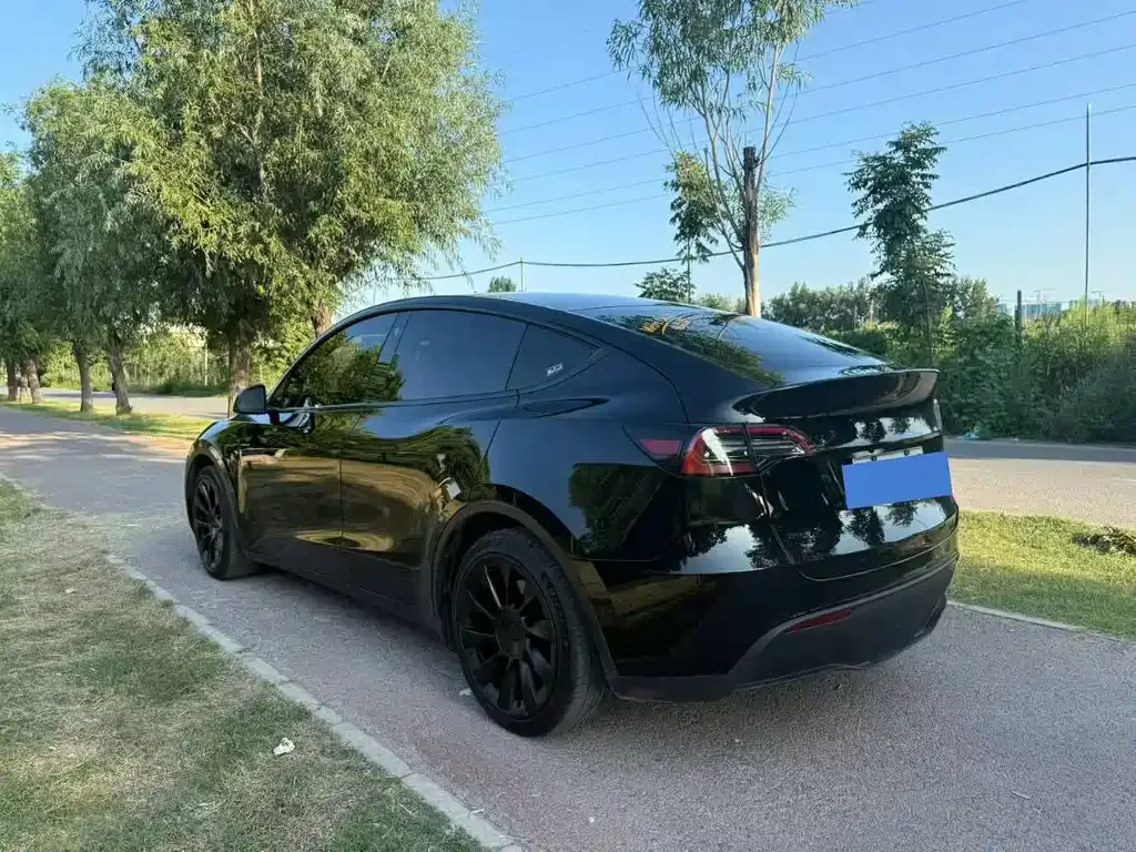 Tesla Model Y — фото 7