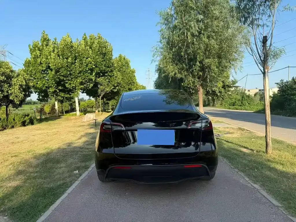 Tesla Model Y — фото 8