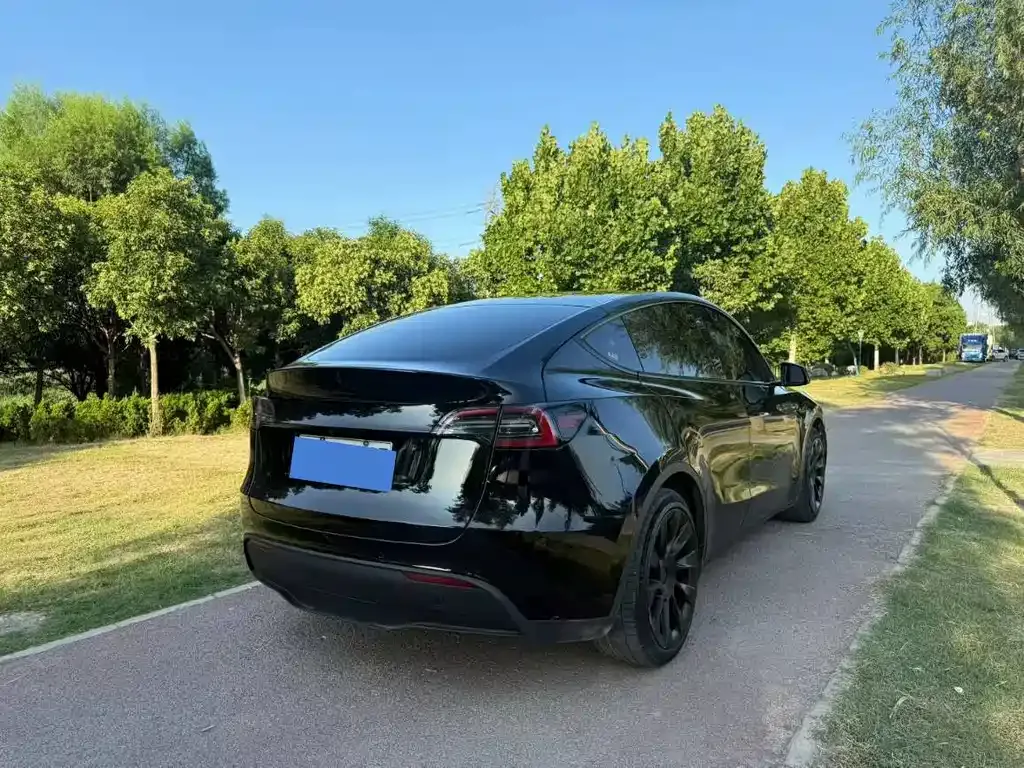 Tesla Model Y — фото 5