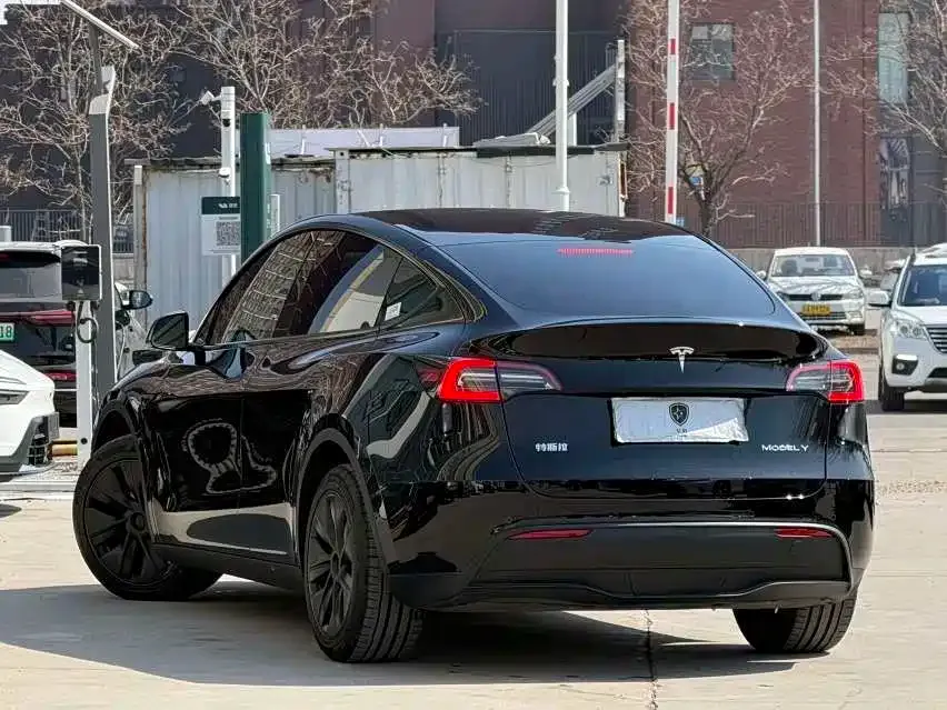 Tesla Model Y — фото 4