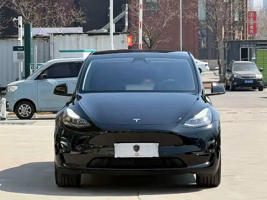 Tesla Model Y — фото 2