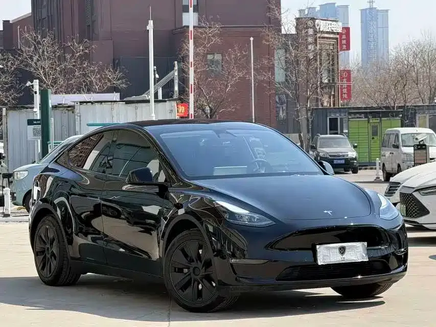 Tesla Model Y — фото 10