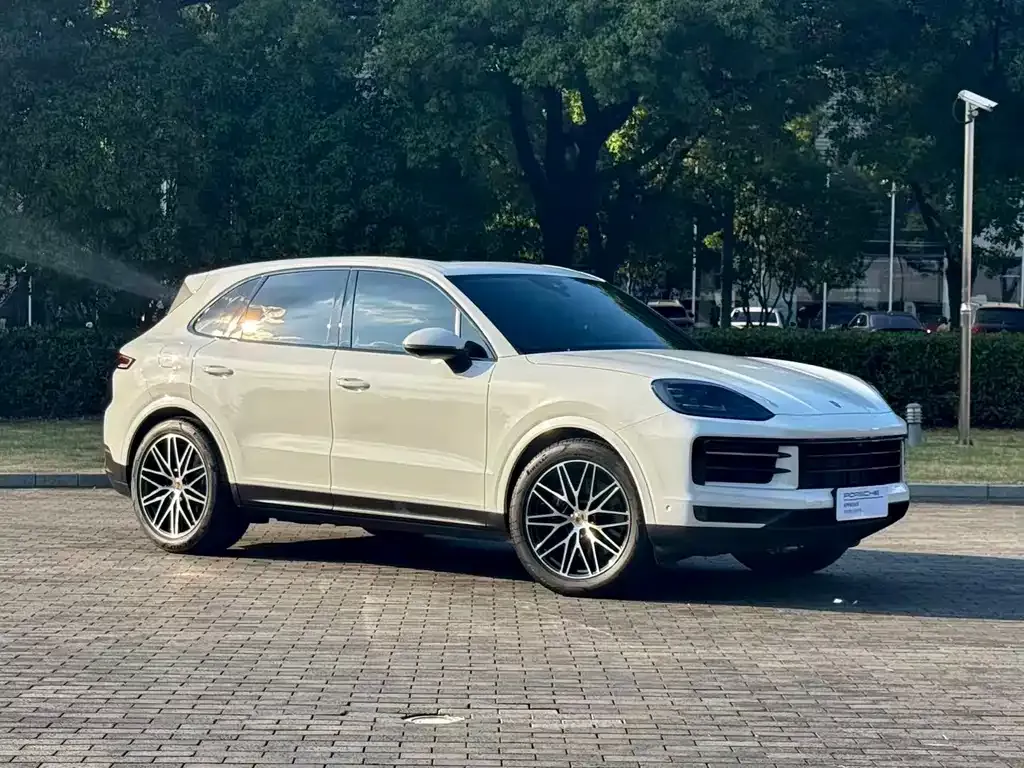 Porsche Cayenne — фото 8