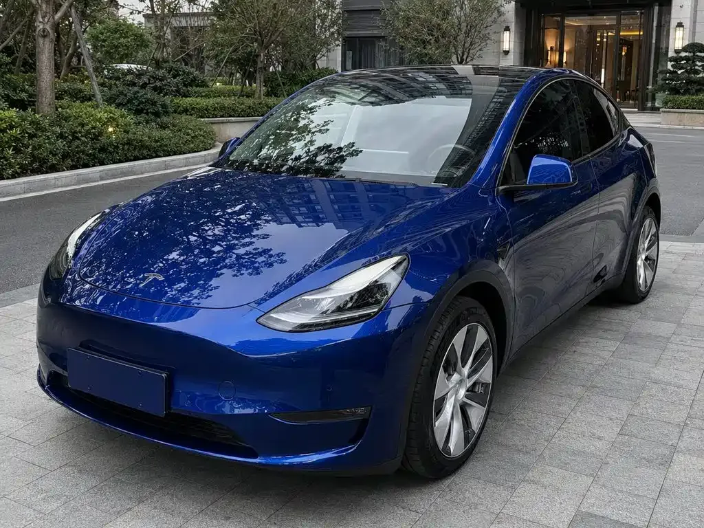 Tesla Model Y — фото 1