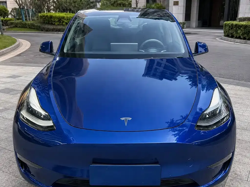 Tesla Model Y — фото 2