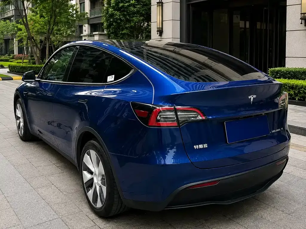 Tesla Model Y — фото 10