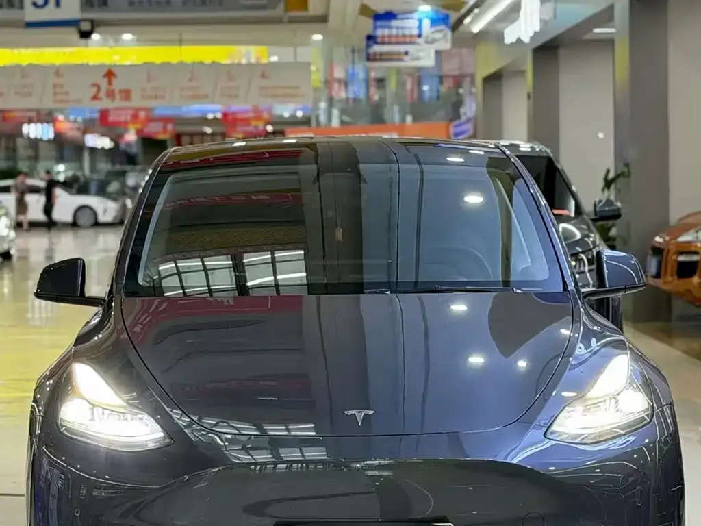Tesla Model Y — фото 3