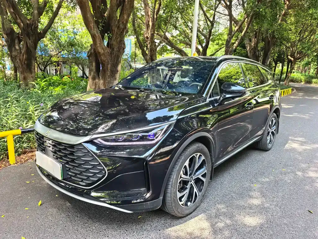 BYD Tang New Energy — фото 1