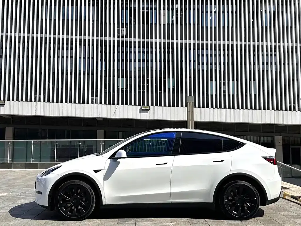 Tesla Model Y — фото 8