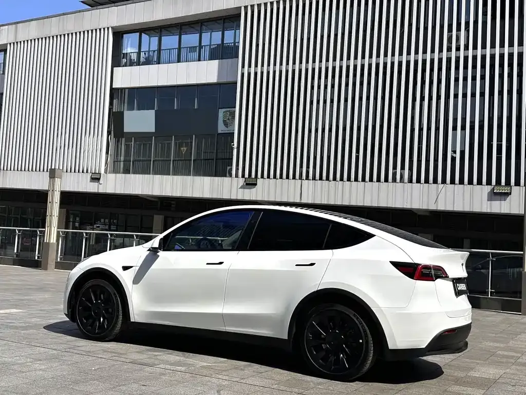 Tesla Model Y — фото 9