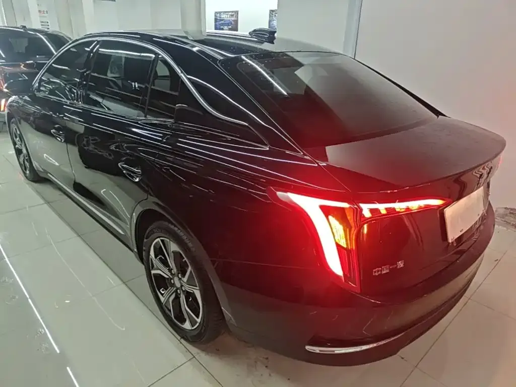 Hongqi E-QM5 — фото 9