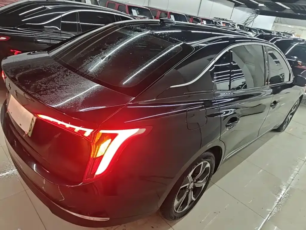 Hongqi E-QM5 — фото 6