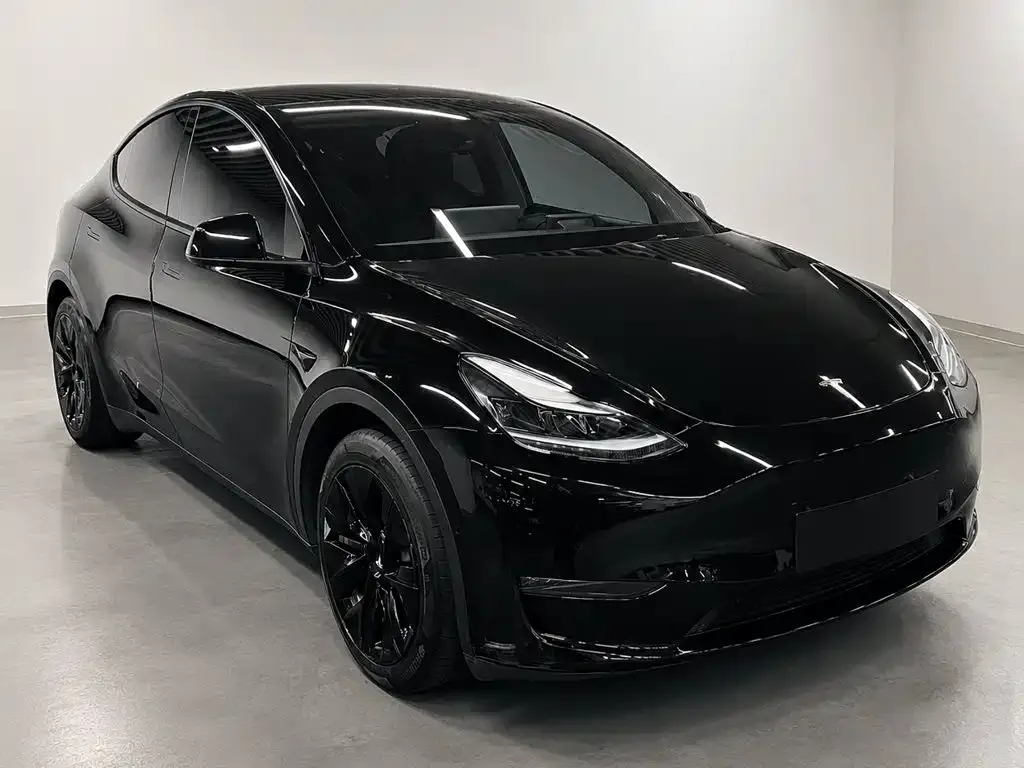 Tesla Model Y — фото 5