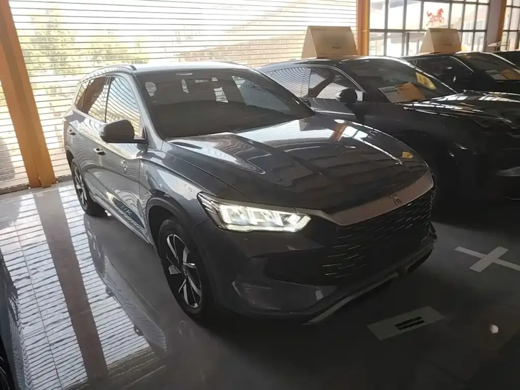 BYD Pro New Energy — фото 4