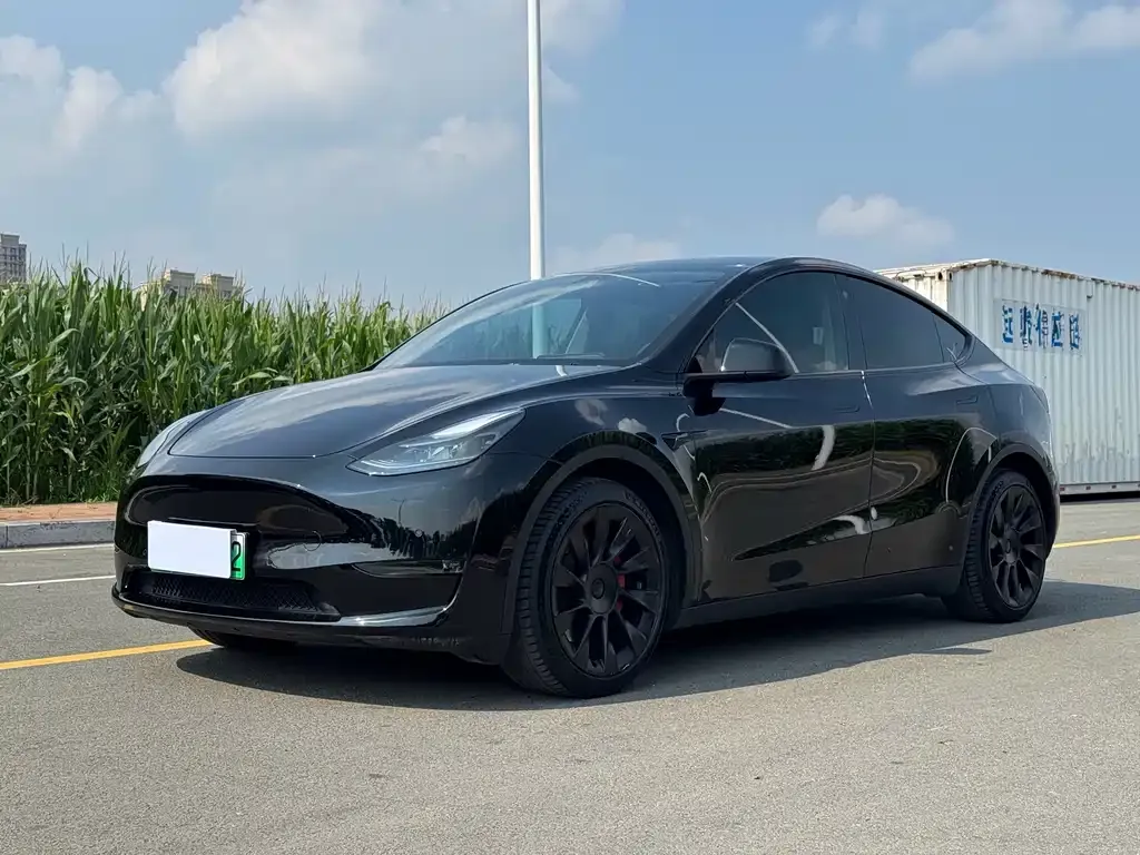 Tesla Model Y — фото 1