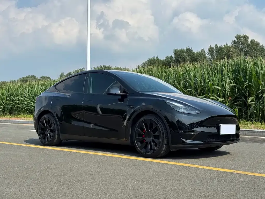 Tesla Model Y — фото 5