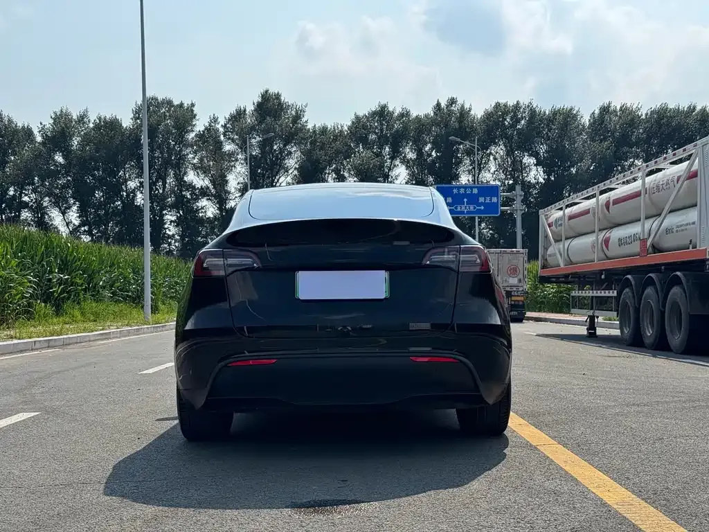 Tesla Model Y — фото 9