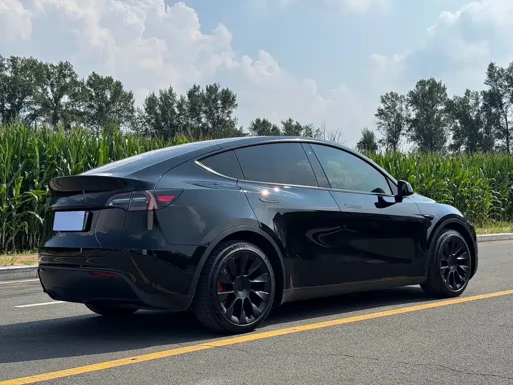 Tesla Model Y — фото 6