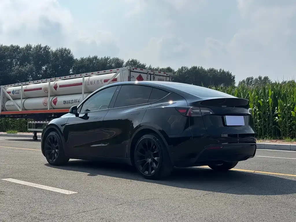 Tesla Model Y — фото 8