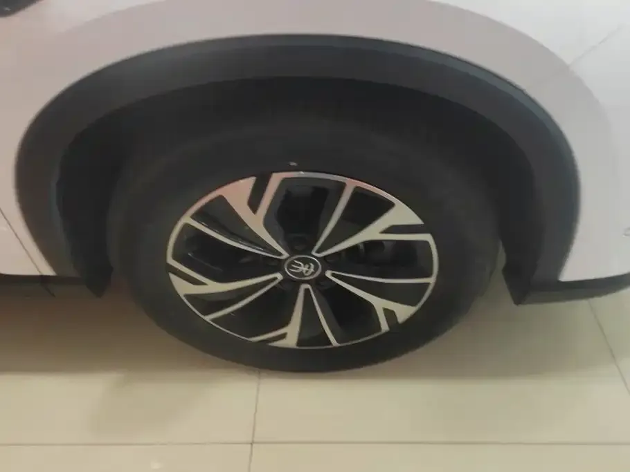 BYD Pro New Energy — фото 8