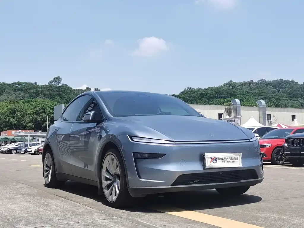 Tesla Model Y — фото 2