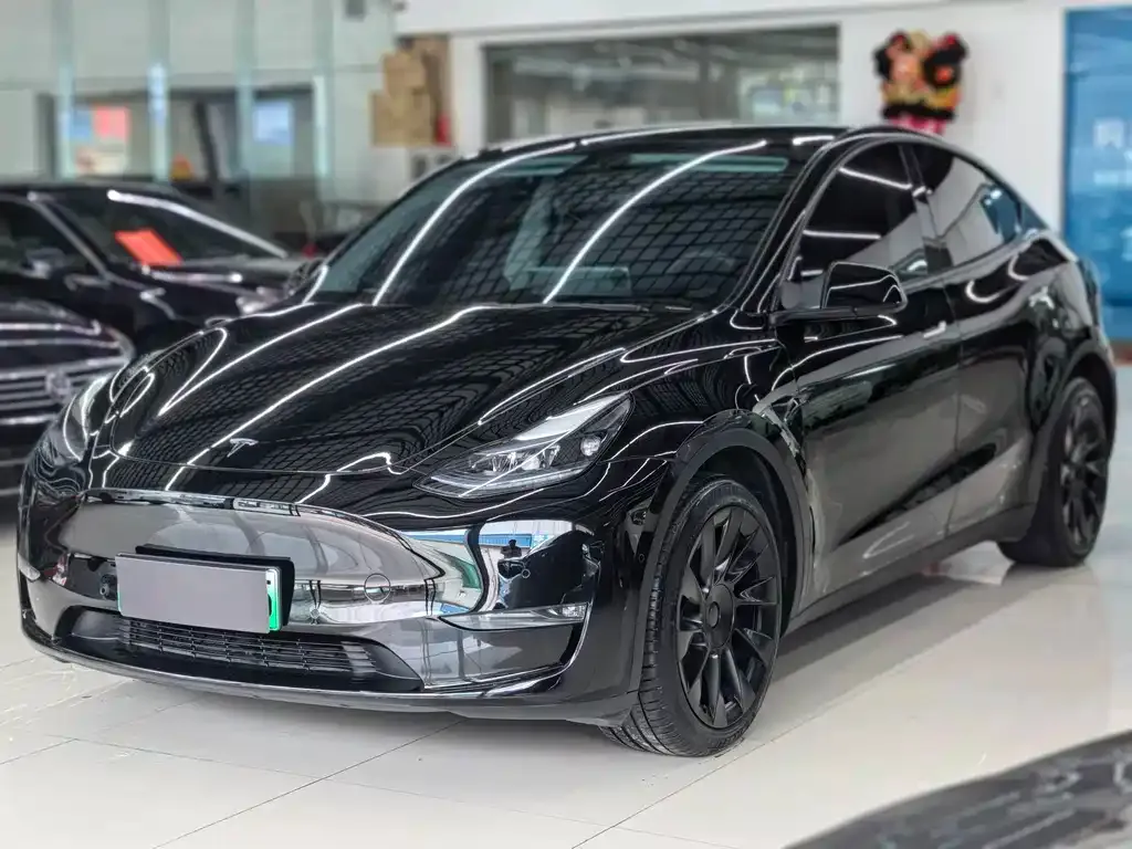 Tesla Model Y — фото 1