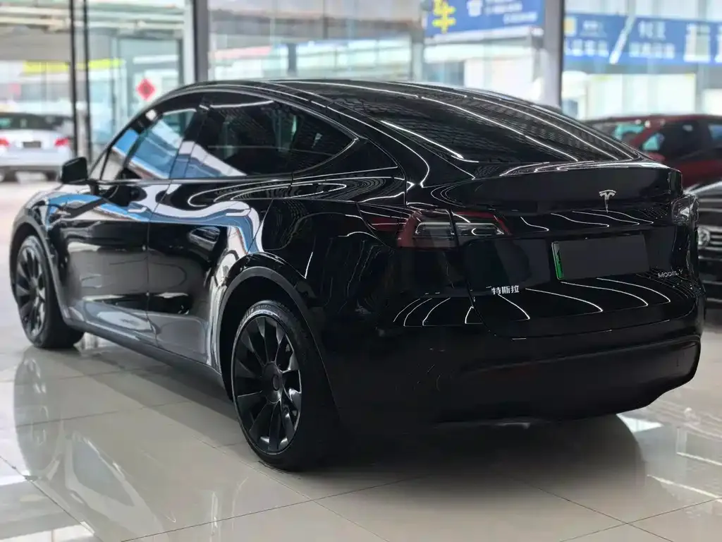 Tesla Model Y — фото 2