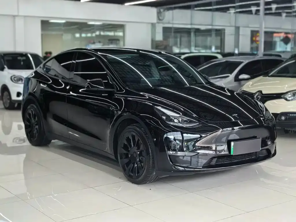 Tesla Model Y — фото 3