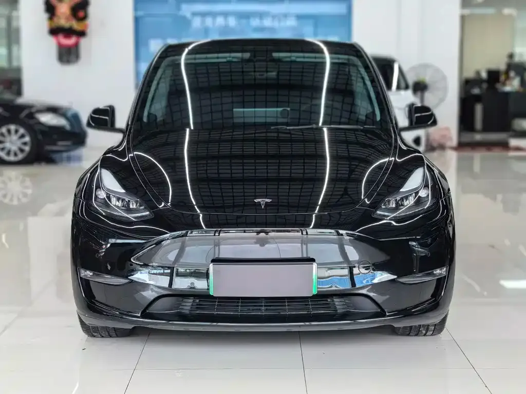 Tesla Model Y — фото 6