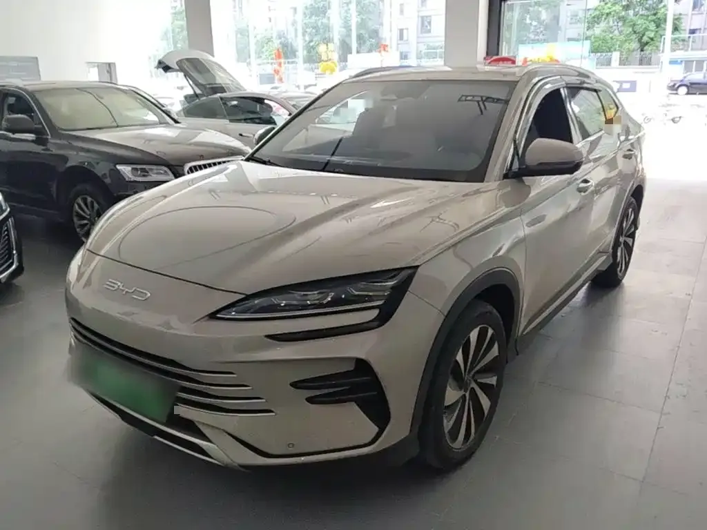 BYD PLUS New Energy — фото 7