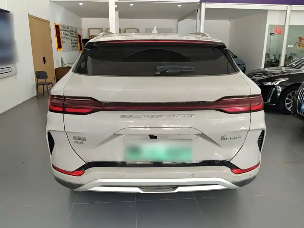 BYD PLUS New Energy — фото 2