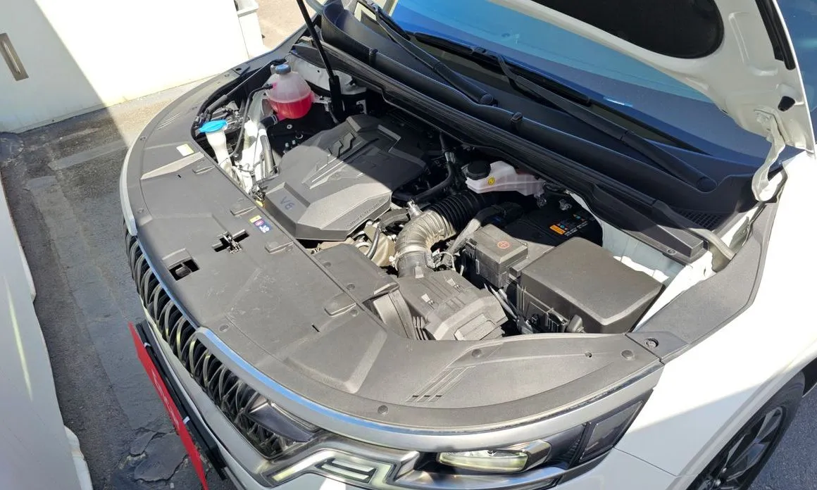 Kia Carnival — фото 10