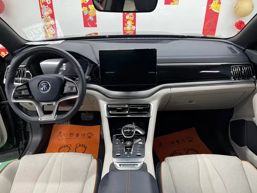 BYD PLUS New Energy — фото 3