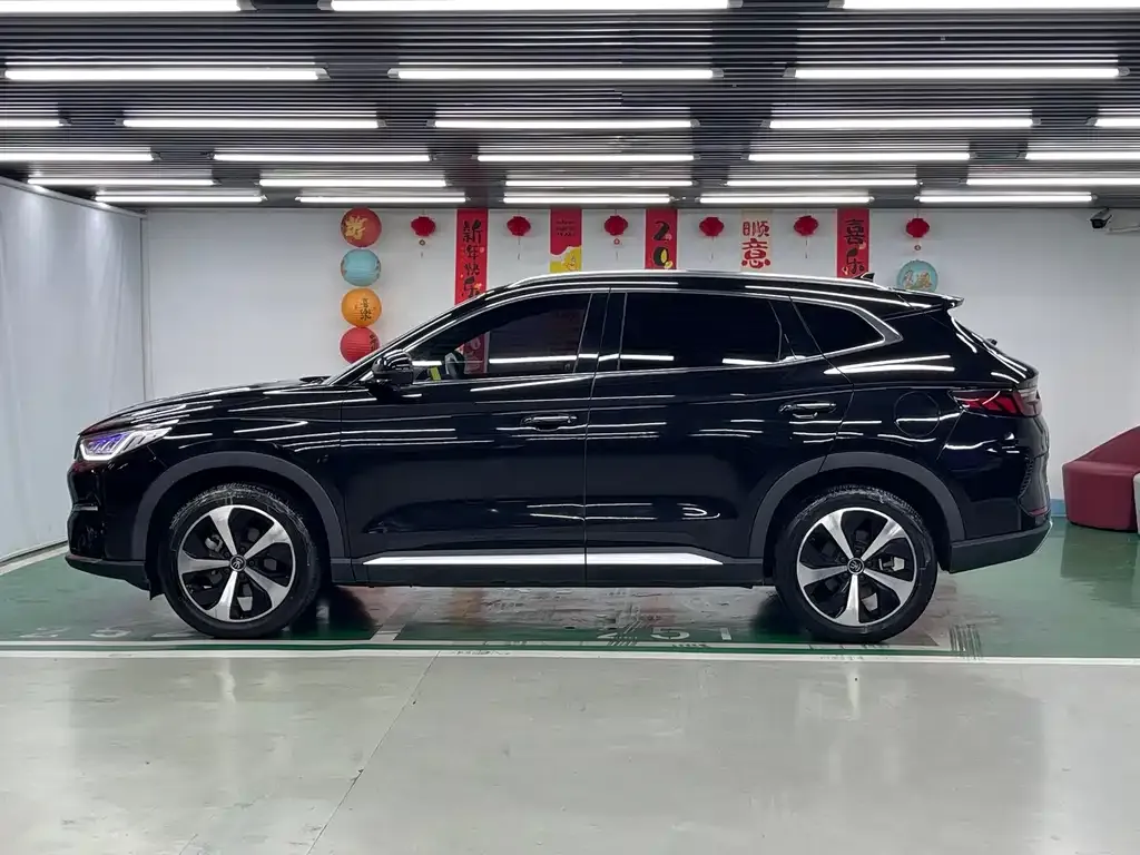 BYD PLUS New Energy — фото 4