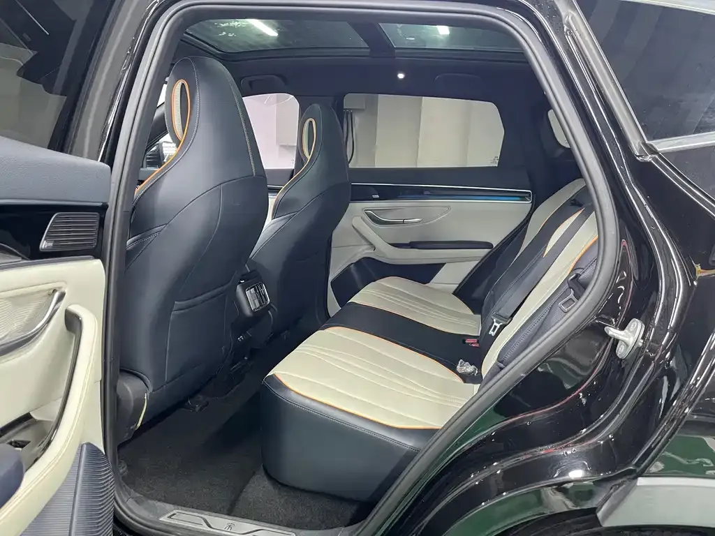 BYD PLUS New Energy — фото 10