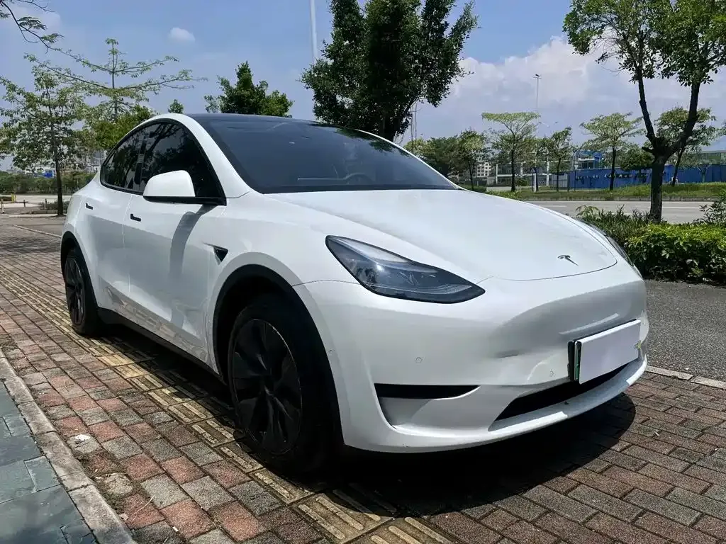 Tesla Model Y — фото 2