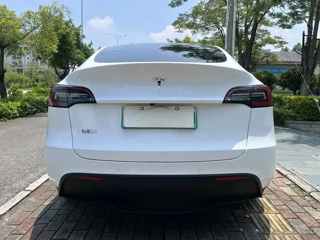 Tesla Model Y — фото 8