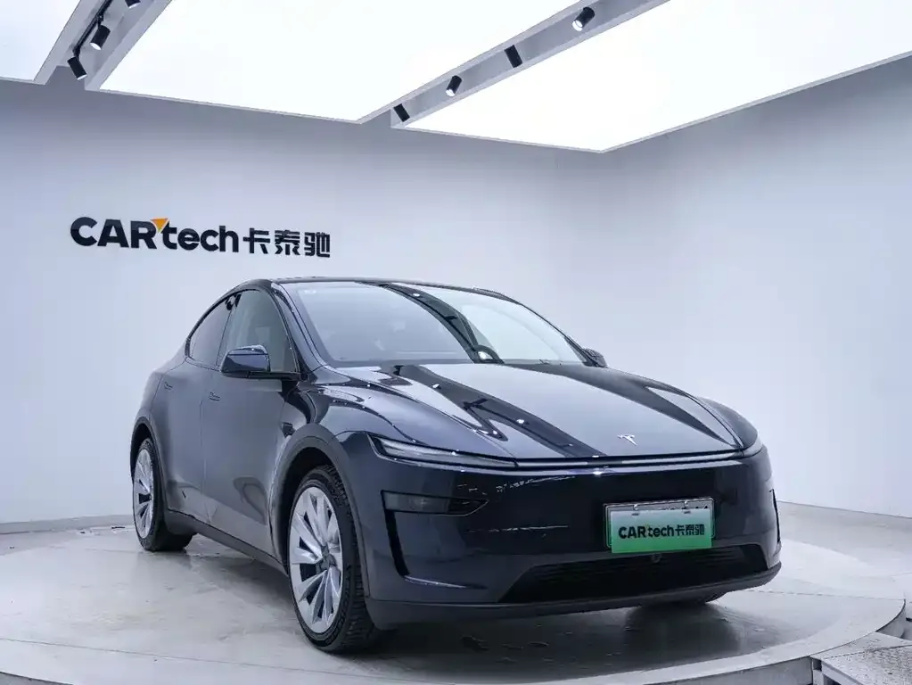 Tesla Model Y — фото 10