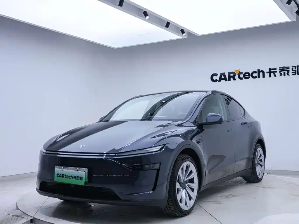 Tesla Model Y — фото 3