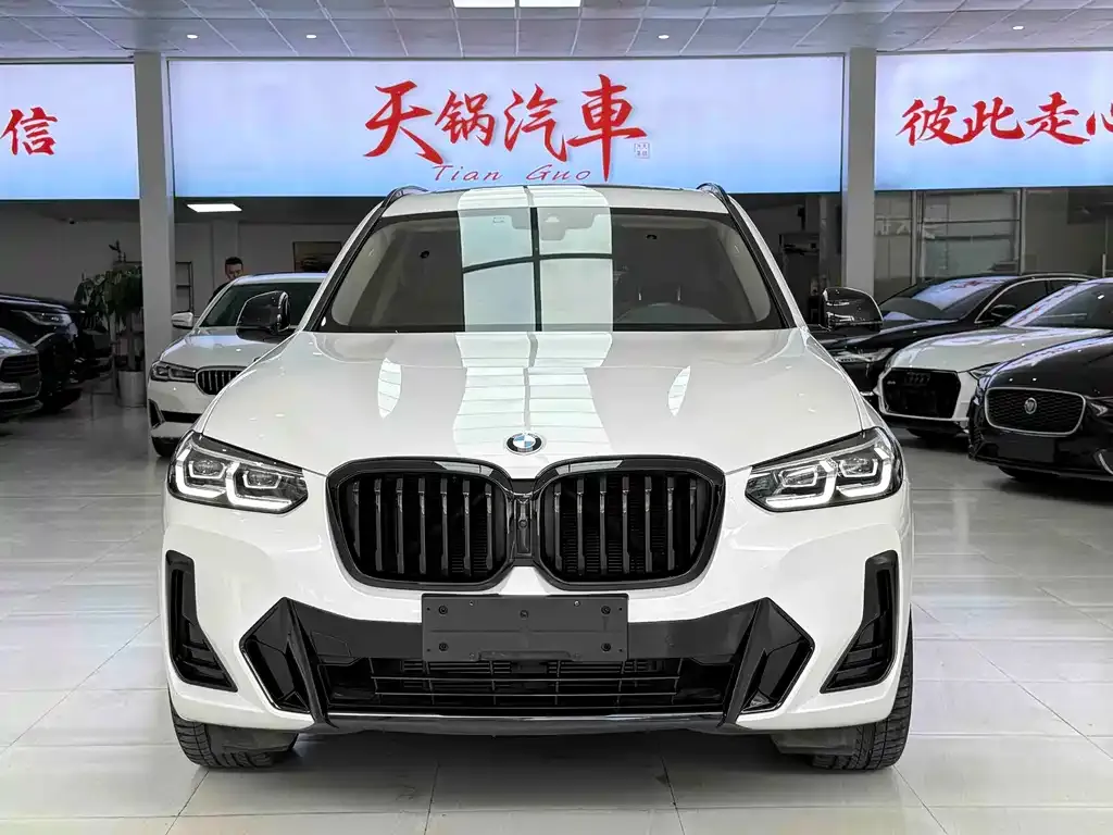 BMW X3 — фото 1