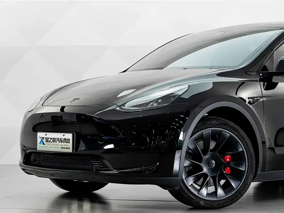 Tesla Model Y — фото 10
